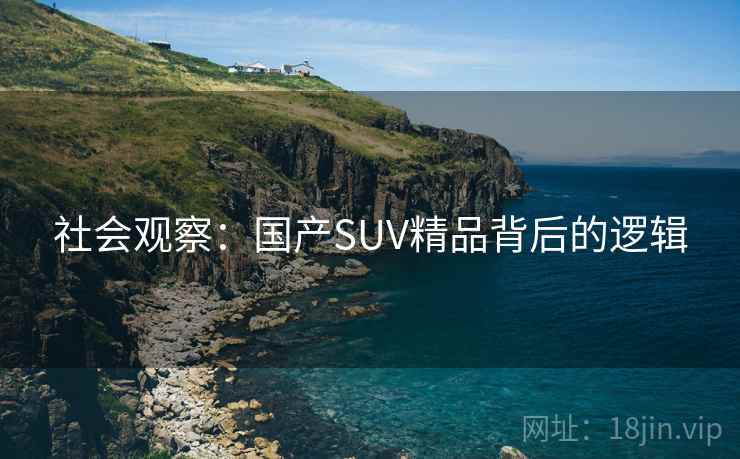 社会观察：国产SUV精品背后的逻辑
